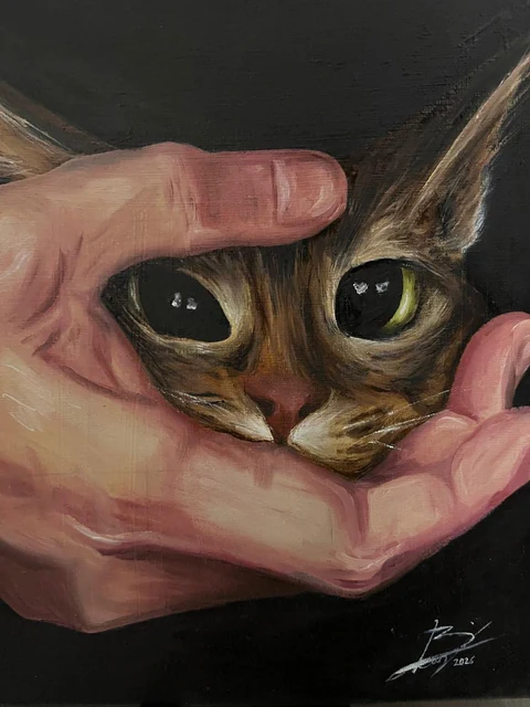 Refugio felino