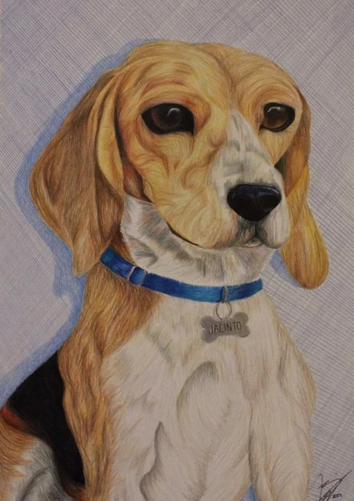 Retrato de Jacinto