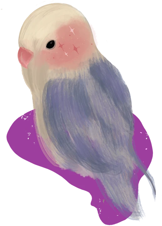 Pajarito